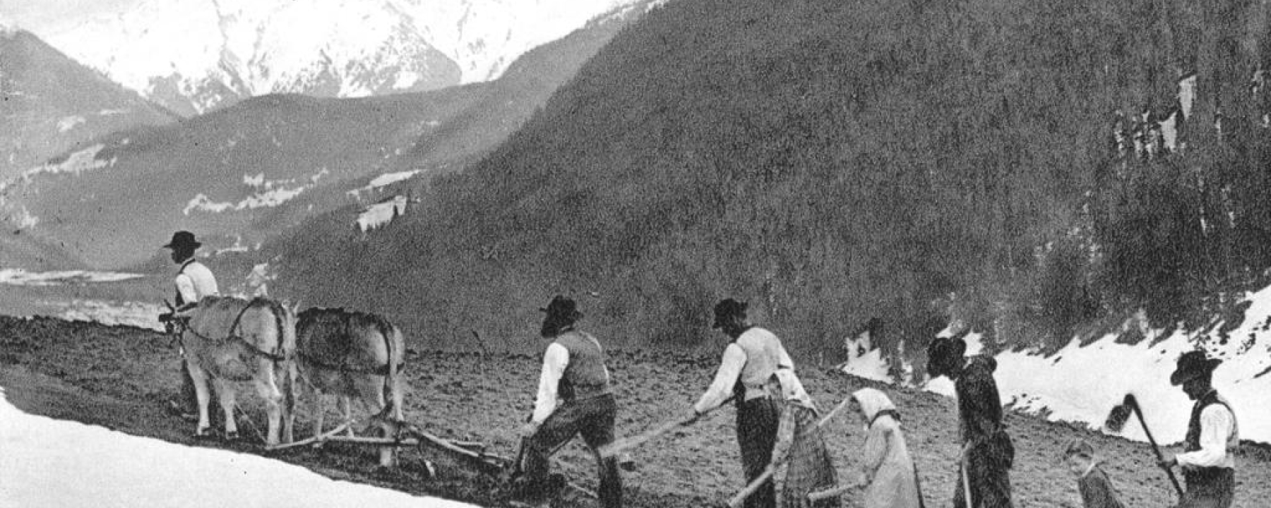 Bündner Bauernfamilie bei der Feldarbeit (Sammlung K. Hager)