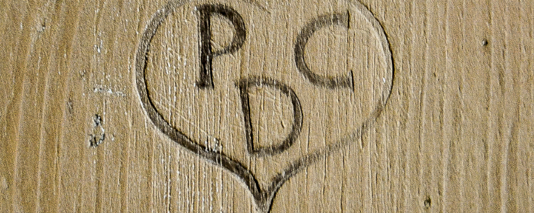 Der Brandstempel von Paul de Casparis.