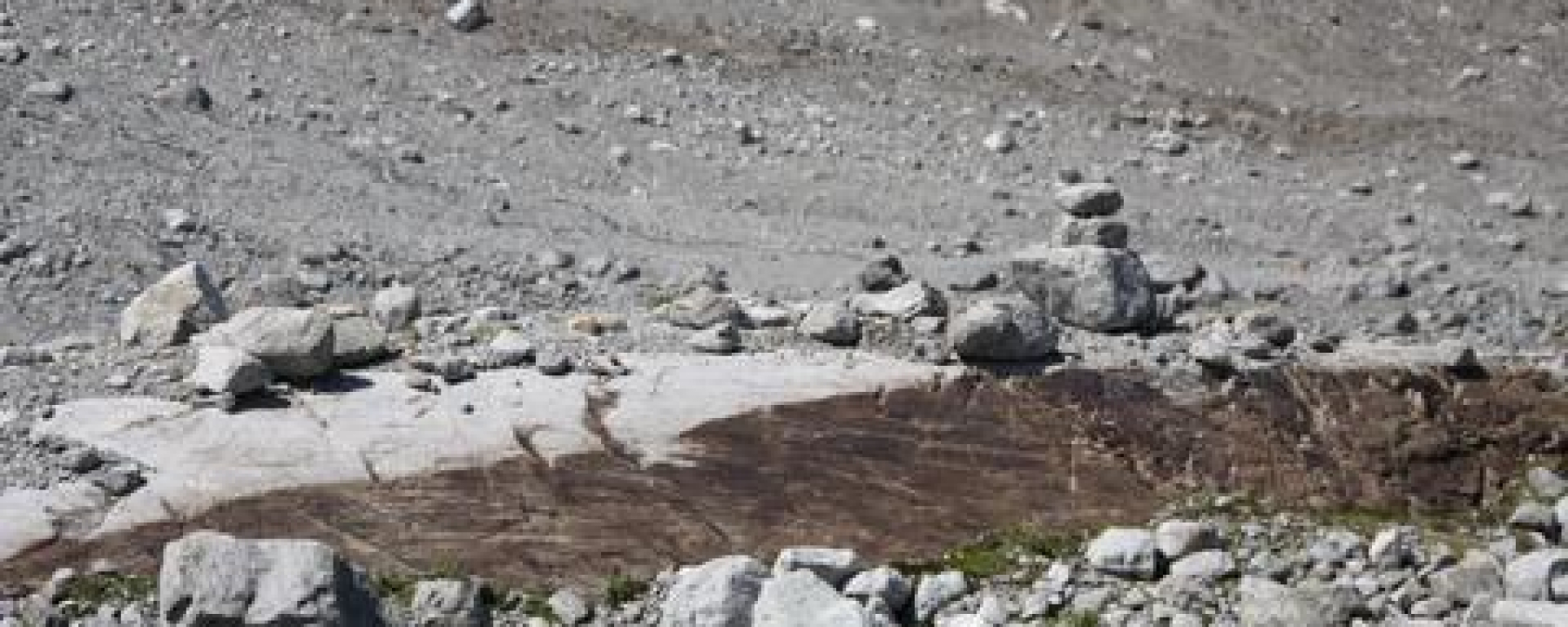Felsen, vom Gletscher geschliffen.