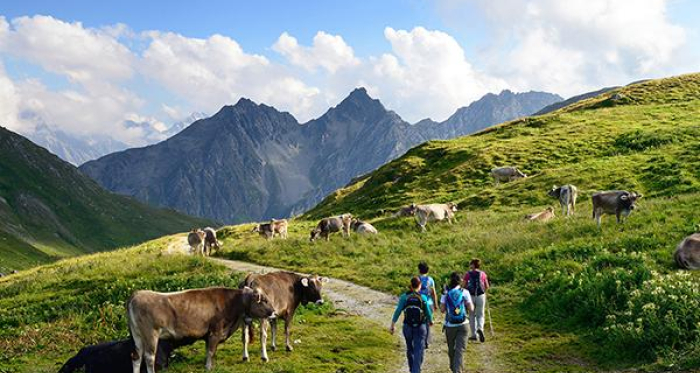 Am Septimerpass mit Blick ins Bergell