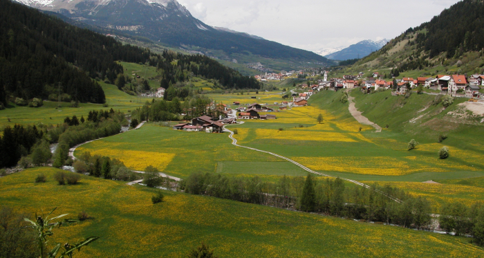 Tinizong und Savognin