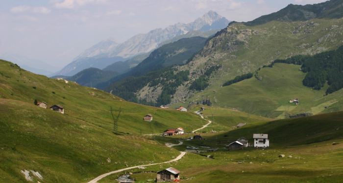 Blick über das Val Tgavregta mit den Alpen, die von Bergellern bestellt wurden.