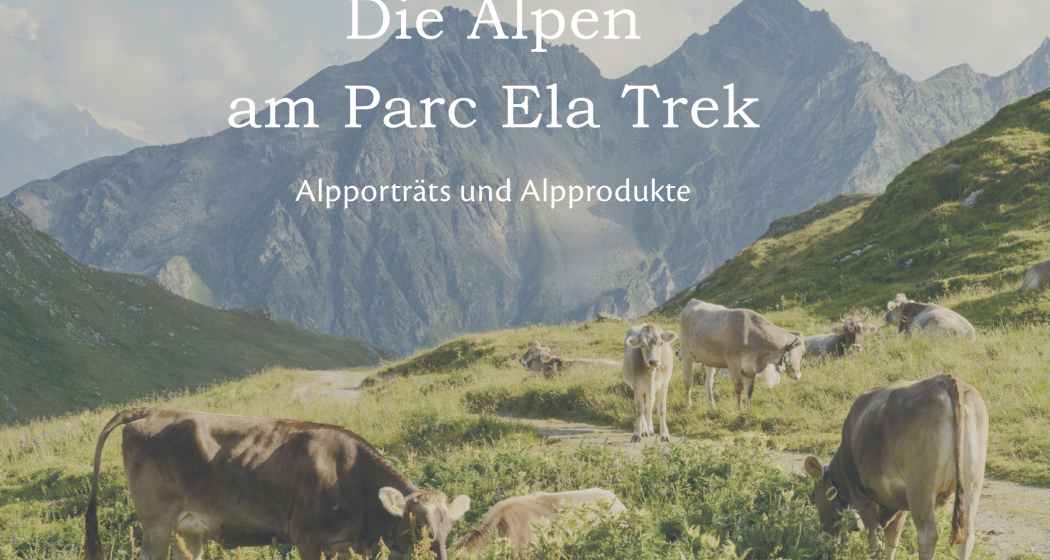 Buchvernissage: Die Alpen am Parc Ela Trek von Irene Schuler (nsp_img_051efa5) Buchvernissage: Die Alpen am Parc Ela Trek von Irene Schuler (nsp_img_051efa5)