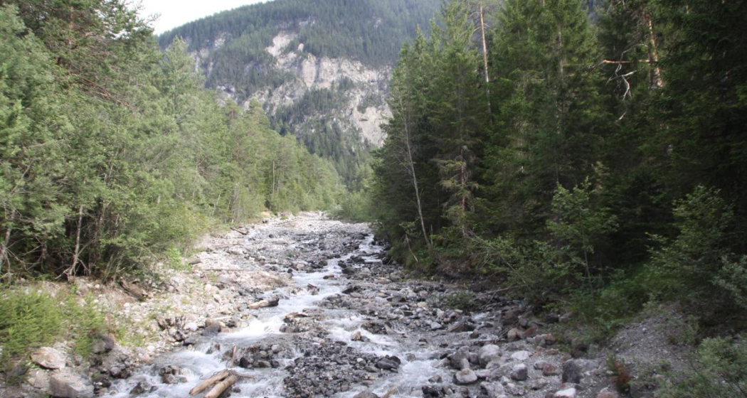 Albula und Schaftobelbach Albula und Schaftobelbach