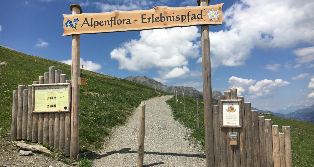 Alpenflora-Erlebnispfad Alpenflora-Erlebnispfad