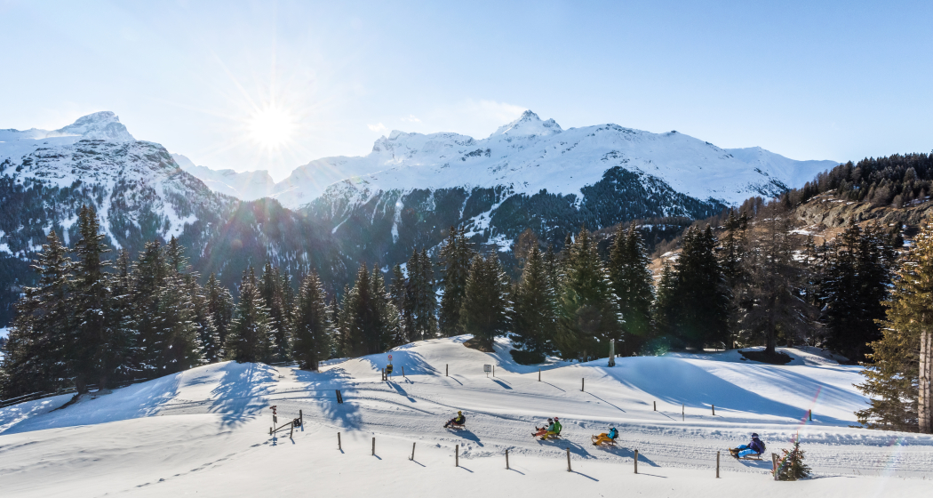 Schlittenweg Alp Flix - Sur (oua_24901885_image) Schlittenweg Alp Flix - Sur (oua_24901885_image)