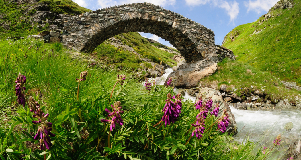 64.05 Bivio - Vicosoprano, ViaSett (oua_25406328_image)