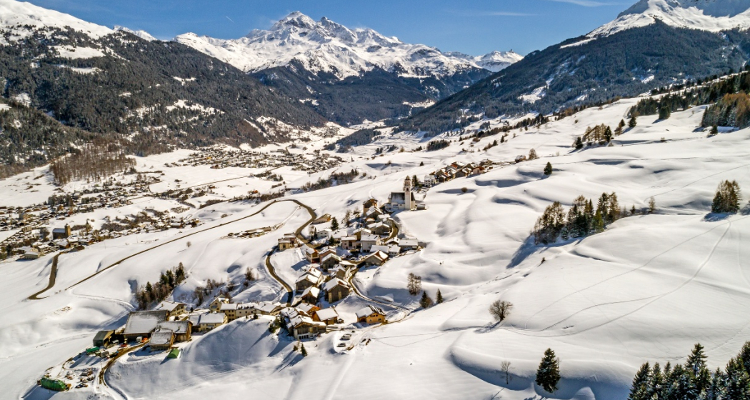 Parsonz (oua_27378592_image)