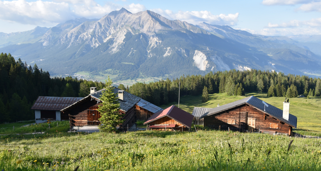 Munter - Ziteil - Tigignas (oua_29624575_image)