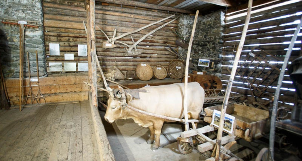 Wagen / Pflug im Innern des Museums. Wagen / Pflug im Innern des Museums.