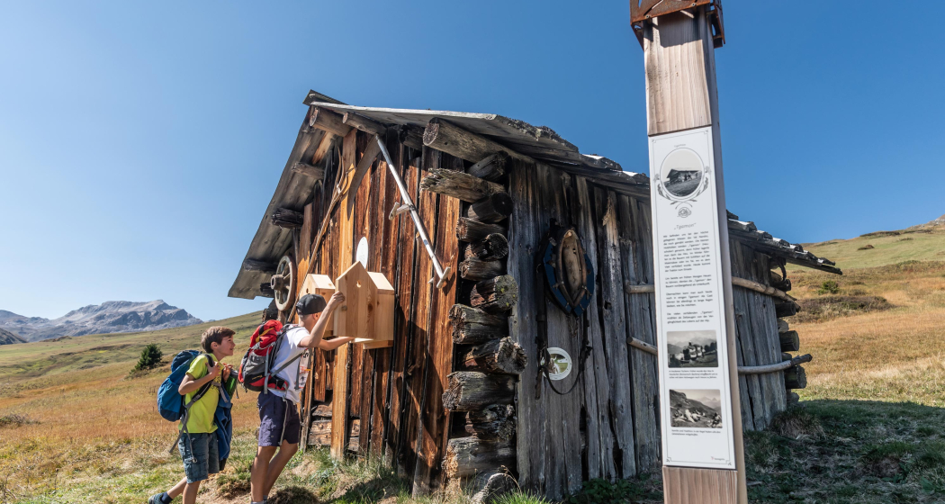 Alpleben Somtgant-Radons (Kinderwagengerecht) (oua_33150611_image) Alpleben Somtgant-Radons (Kinderwagengerecht) (oua_33150611_image)