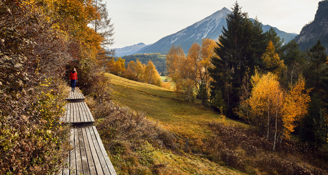 Wasserweg ansaina im Herbst, oberhalb von Alvaneu Bad © Giglio Pasqua Wasserweg ansaina im Herbst, oberhalb von Alvaneu Bad © Giglio Pasqua