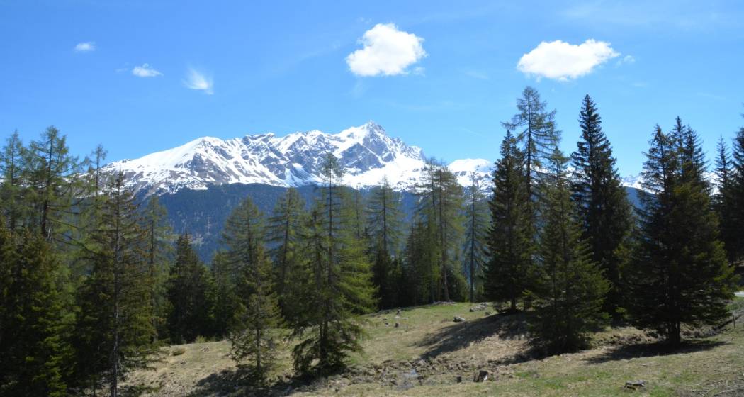 Tigignas - Salaschigns - Savognin (oua_39074657_image)