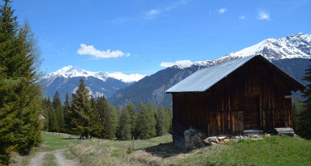 Tigignas - Salaschigns - Savognin (oua_39074677_image)