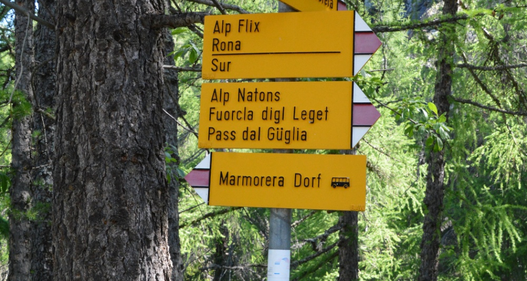 Marmorera - Alp Flix - Rona (oua_39779018_image) Marmorera - Alp Flix - Rona (oua_39779018_image)