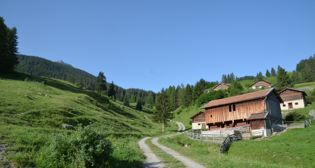 Savognin - Parseiras - Got Grond - Motta Tscharnoz - Alp Tarvisch - Savognin (oua_39847226_image) Savognin - Parseiras - Got Grond - Motta Tscharnoz - Alp Tarvisch - Savognin (oua_39847226_image)