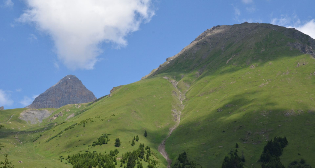 Tgant Pensa - Val d' Err (oua_40351813_image) Tgant Pensa - Val d' Err (oua_40351813_image)