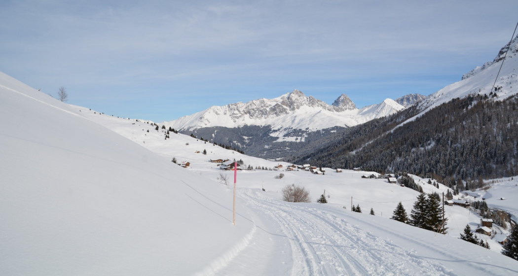 Radons - Bargias - Alp Nova (retour) (oua_44902053_image) Radons - Bargias - Alp Nova (retour) (oua_44902053_image)