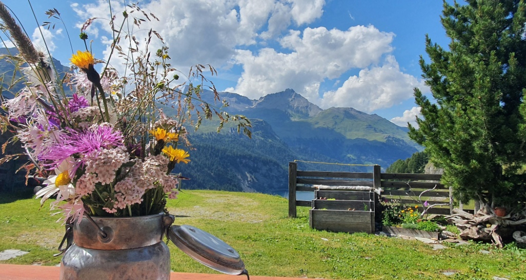 Trailrun Bivio - Alp Natons - Bivio (oua_52073412_image) Trailrun Bivio - Alp Natons - Bivio (oua_52073412_image)