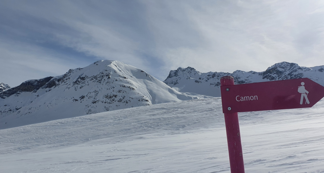 Bivio - Camon - Bivio (oua_57785421_image) Bivio - Camon - Bivio (oua_57785421_image)