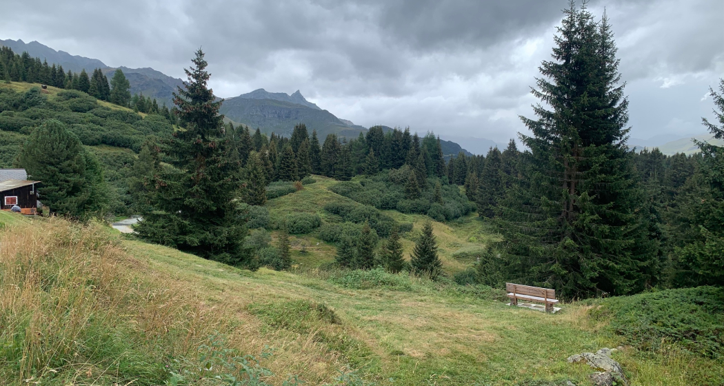 Wanderweg Alp Flix (zugänglich für Blinde) (oua_604892045_image)