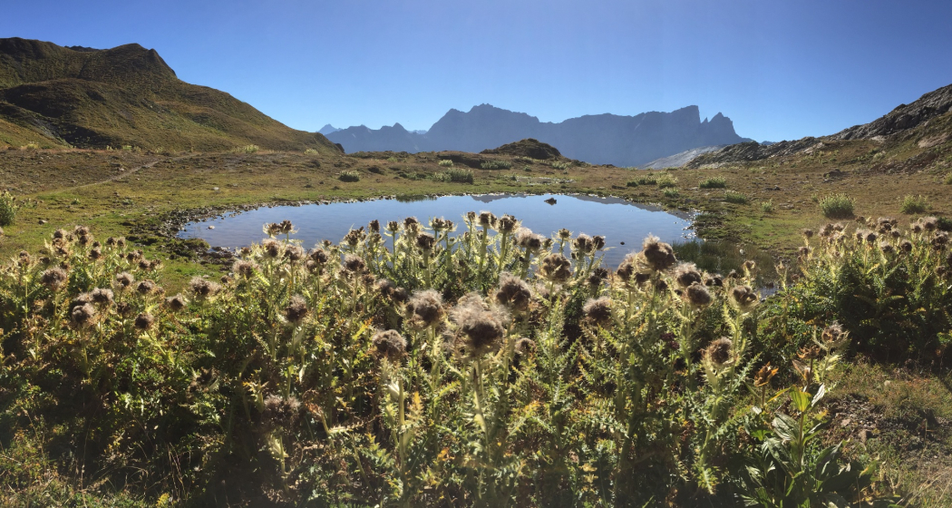 Auf dem Alpenpässeweg von Radons nach Ausserferrera (oua_605029514_image) Auf dem Alpenpässeweg von Radons nach Ausserferrera (oua_605029514_image)