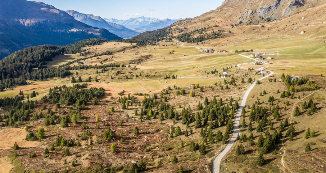 660 Alp Flix Bike (oua_61149000_image)