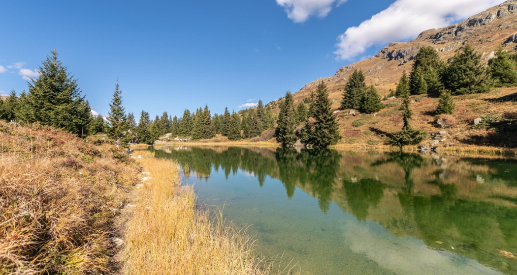 660 Alp Flix Bike (oua_61149001_image)