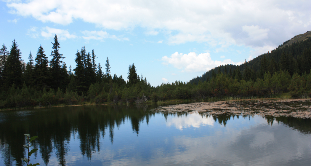 Etappe 10: Lai Neir Alp Flix