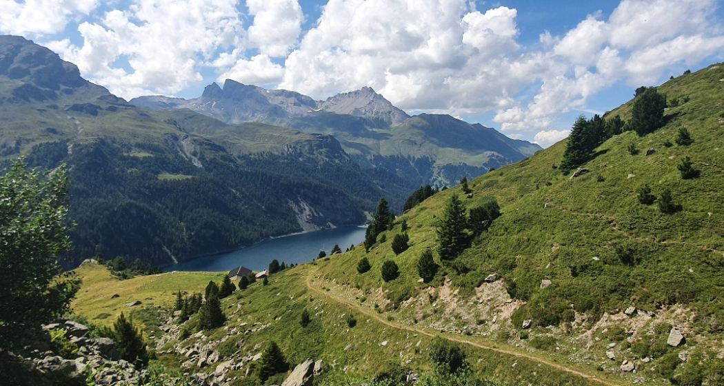 Trailrun Bivio - Alp Natons - Bivio (oua_68150453_image)