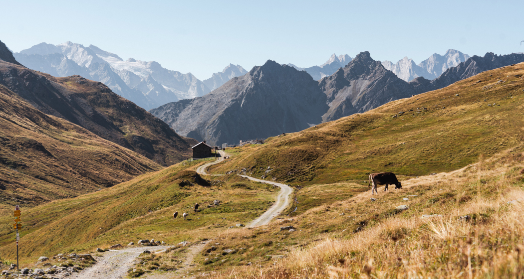 Landschaftlich reizvolle Wanderung auf der Via Sett von Bivio nach Casaccia über La Motta (oua_73743094_image) Landschaftlich reizvolle Wanderung auf der Via Sett von Bivio nach Casaccia über La Motta (oua_73743094_image)