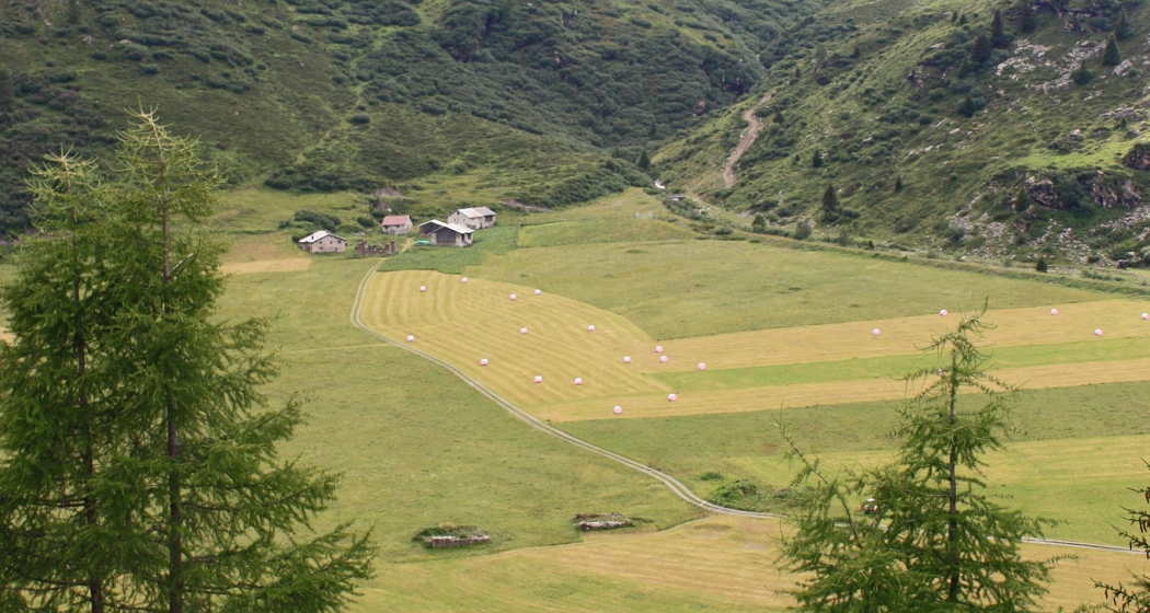 Etappe 4: Plang Faller Etappe 4: Plang Faller