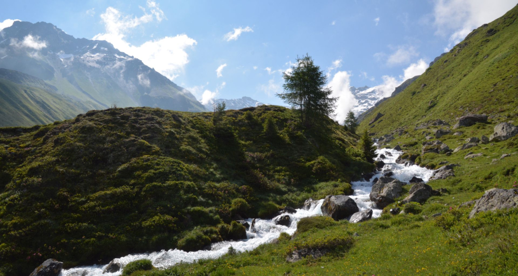 Fluss Fluss