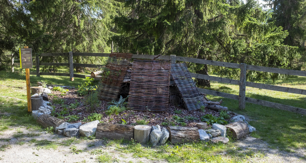 Schaugarten Don Bosco Element Totholz Schaugarten Don Bosco Element Totholz