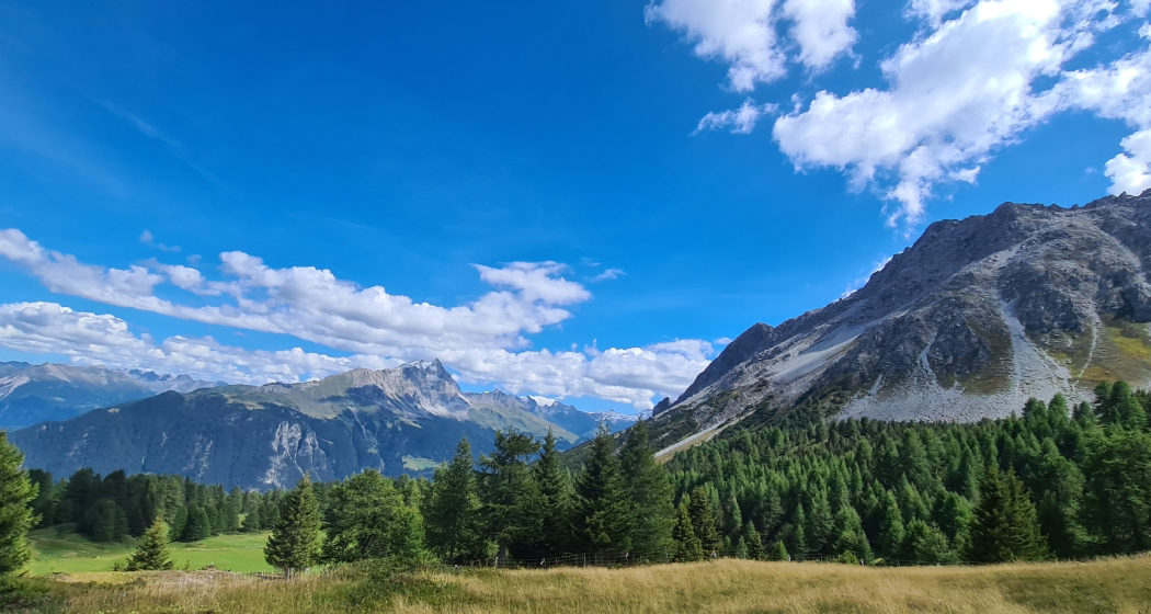 Munter - Ziteil - Tigignas (oua_93998751_image)