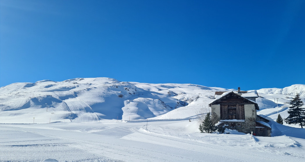 341 Roccabella-Winterwanderweg (oua_95559019_image)