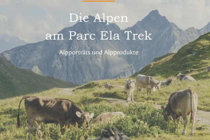 Buchvernissage: Die Alpen am Parc Ela Trek von Irene Schuler (nsp_img_051efa5) Buchvernissage: Die Alpen am Parc Ela Trek von Irene Schuler (nsp_img_051efa5)