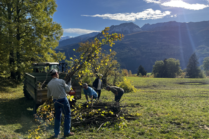 Freiwilligentag Heckenpflege (nsp_img_d790e45)