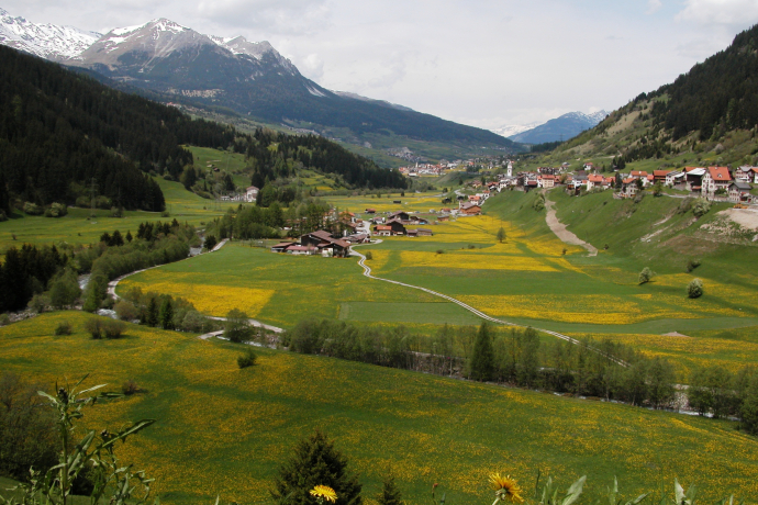 Tinizong und Savognin