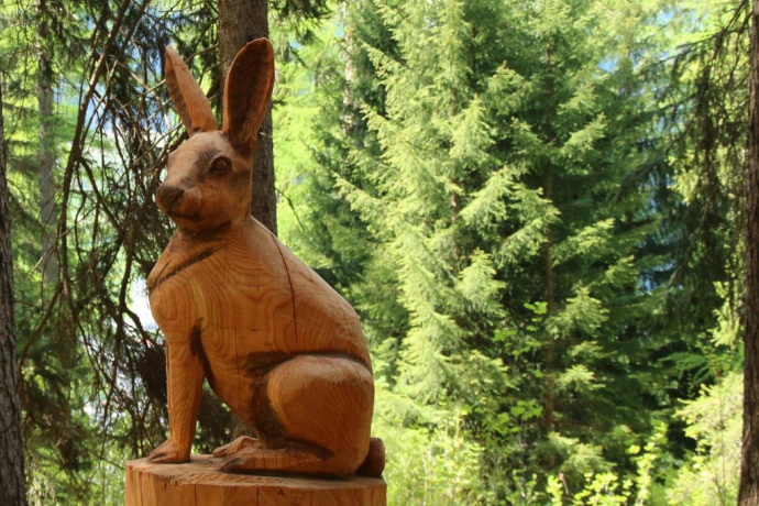 Waldspielpfad Lareschs (oua_23302592_image)