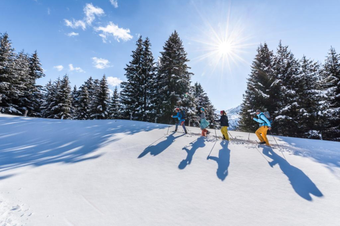 573 Alp Flix - Schneeschuhtrail (oua_24904089_image)