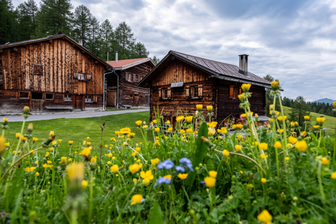 Munter - Ziteil - Cre digl Lai (oua_29624840_image)