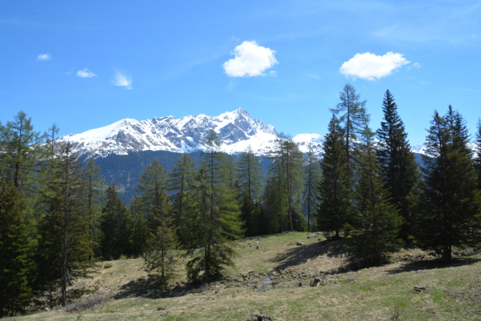 Tigignas - Salaschigns - Savognin (oua_39074657_image)