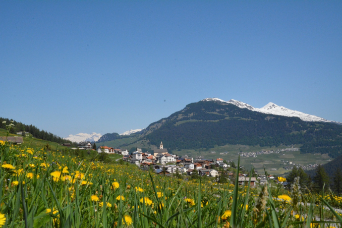 Veia digl Pader (oua_39331297_image)