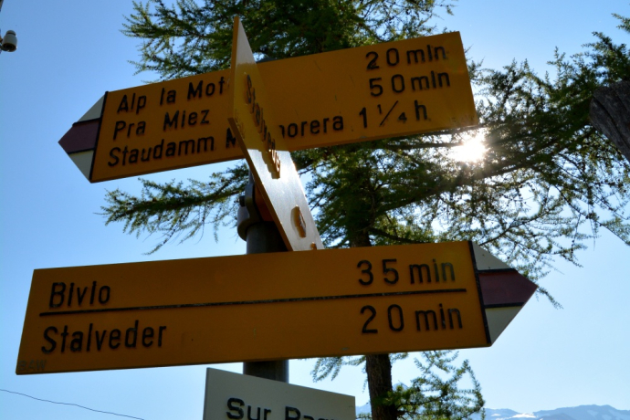 Alpleben über dem Marmorerasee (Bivio - Sur Ragn - Pra Miez - Marmorera) (oua_39799224_image)