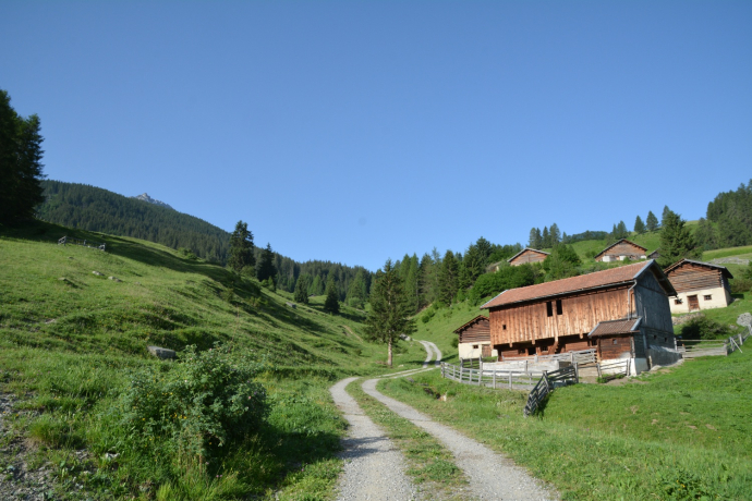 Trailrun Savognin - Tinizong - Parseiras - Savognin (oua_39847226_image)