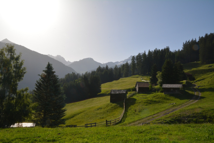 Trailrun Savognin - Tinizong - Parseiras - Savognin (oua_39847277_image)