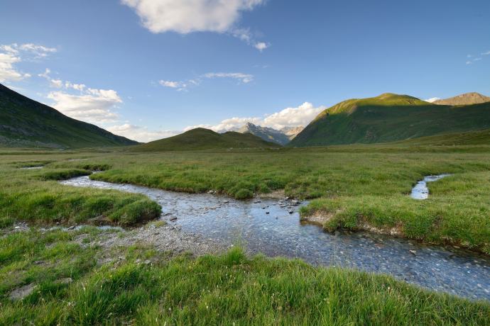 Auf dem Weg zum Septimerpass