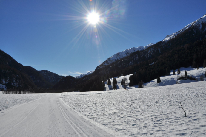 Hundeloipe Rona (oua_44268237_image)