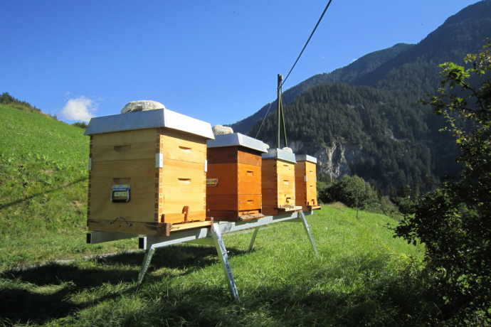 Beekeeper Meltger Devonas / Honey